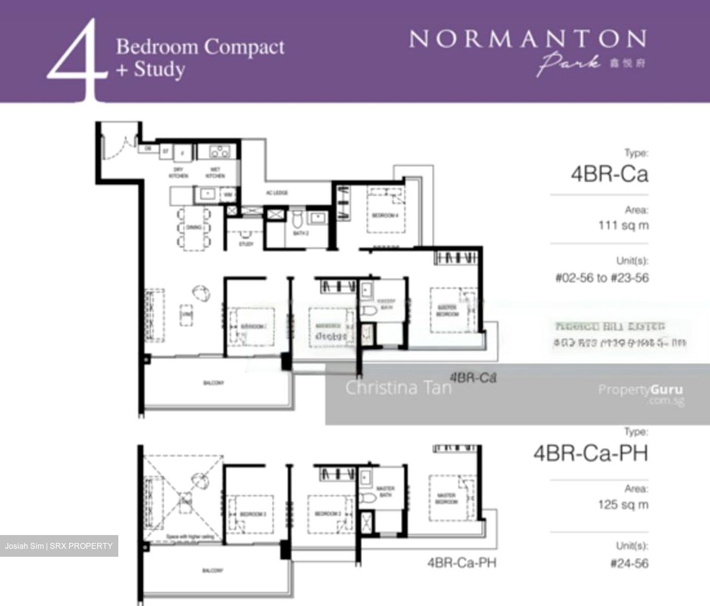 Normanton Park (D5), Apartment #556932581